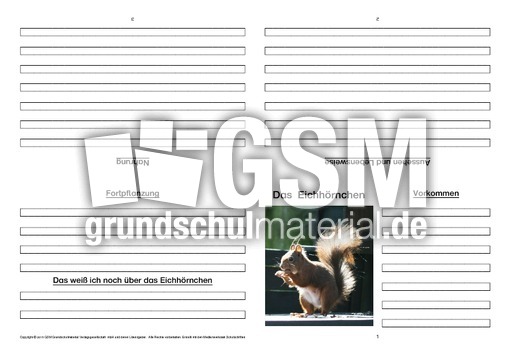 Eichhörnchen-Faltbuch-Steckbrief-vierseitig-2.pdf